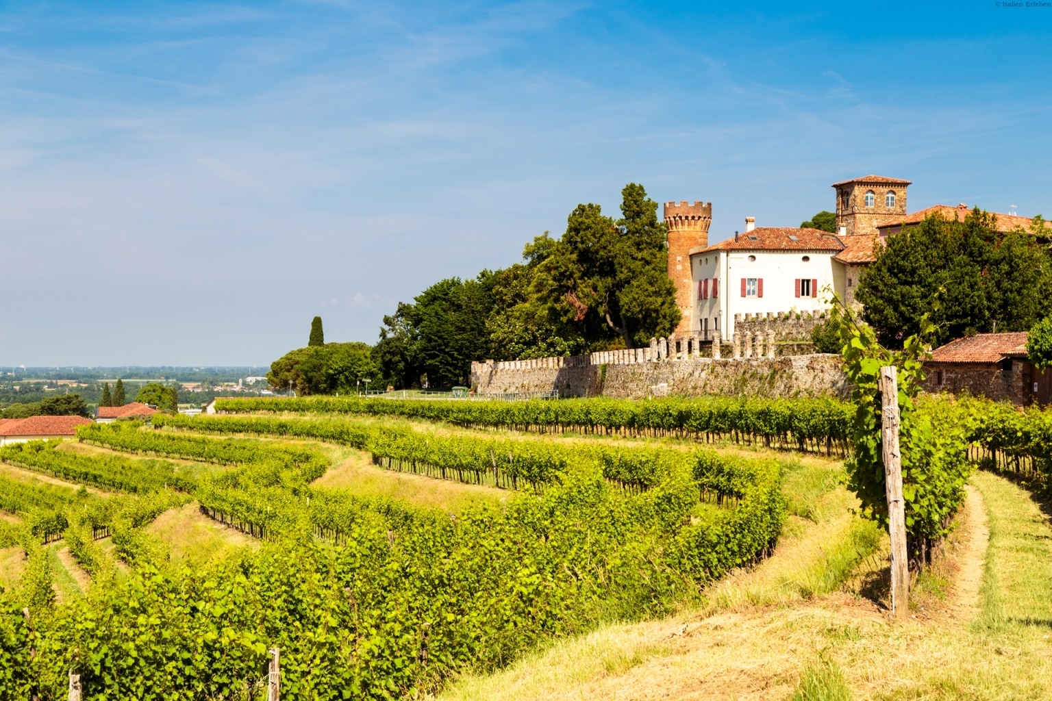 Friaul Wein Weinland Castello Buttrio
