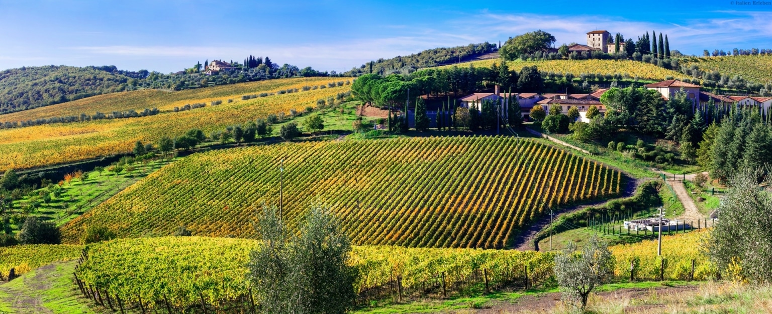 Toskana Landschaft Weinland Wein Land Chianti