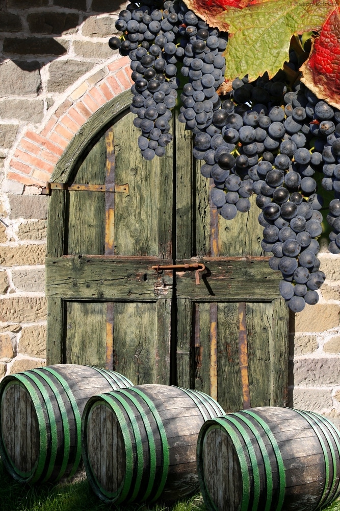 Toskana Landschaft Weinland Wein Weinfass Trauben