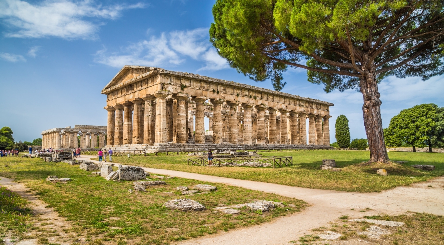 Kampanien Cilento südlich Amalfiküste Paestum griechischer Tempel Baum