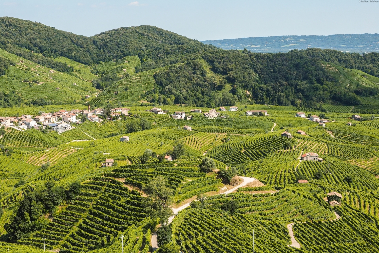 Italien Veneto Weinland Prosecco Valdobbiadene Hügel Weinreben